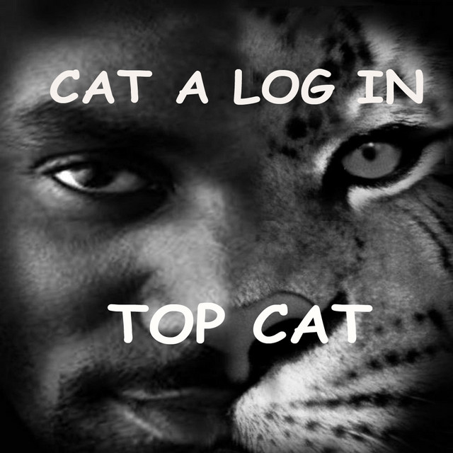 Cat A Log In cover art