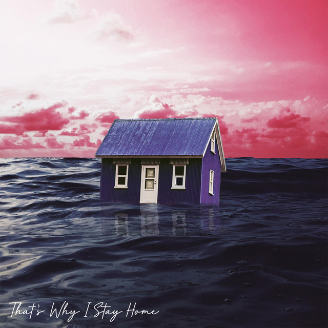 That's Why I Stay Home cover art