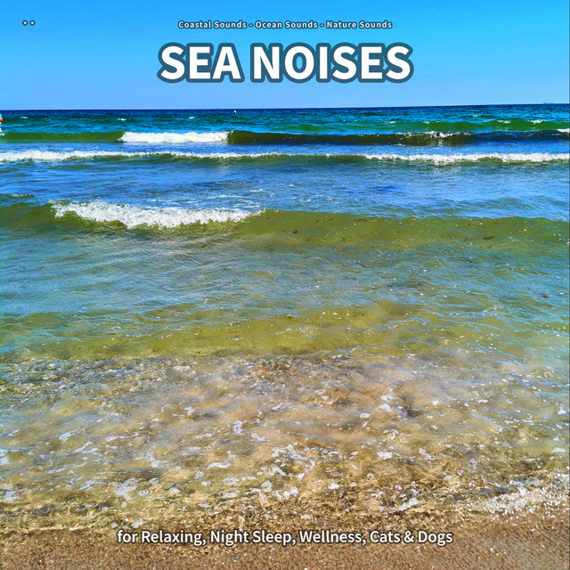 ** Sea Noises for Relaxing, Night Sleep, Wellness, Cats & Dogs cover art