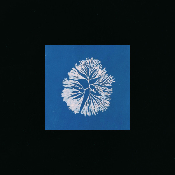 Silk Noise Reflex cover art