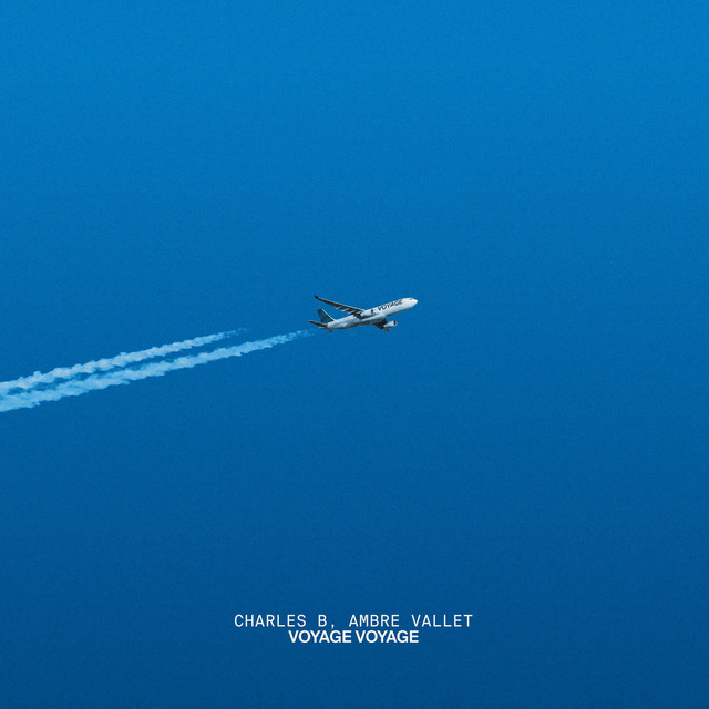 Voyage voyage album image