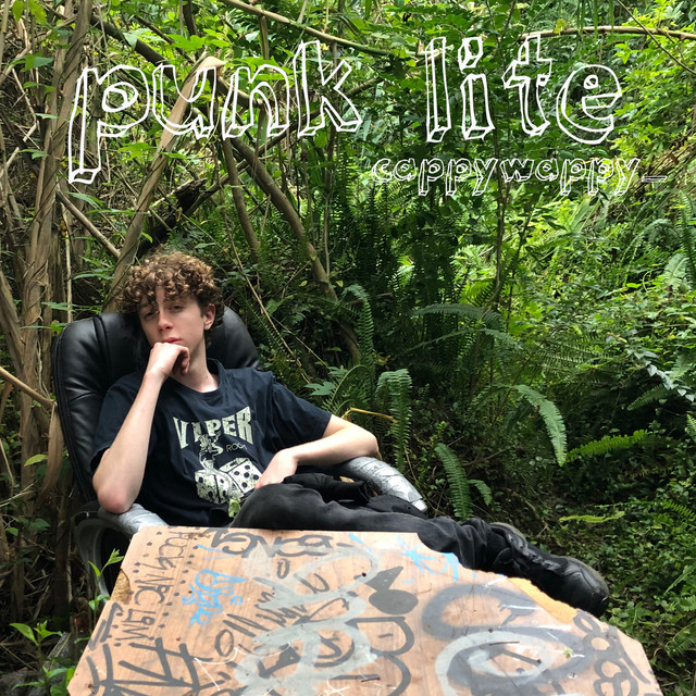 Punk Lite cover art