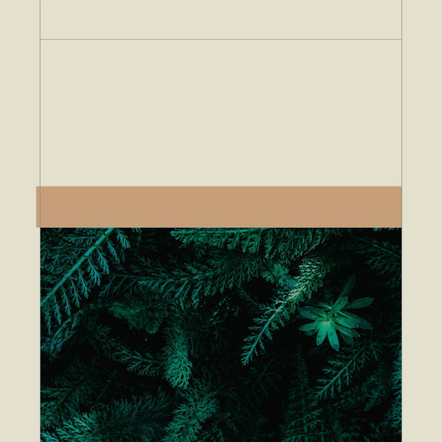Music for Serene Thursday Mornings (Trumpet, Alto Sax and Tenor Sax) cover art
