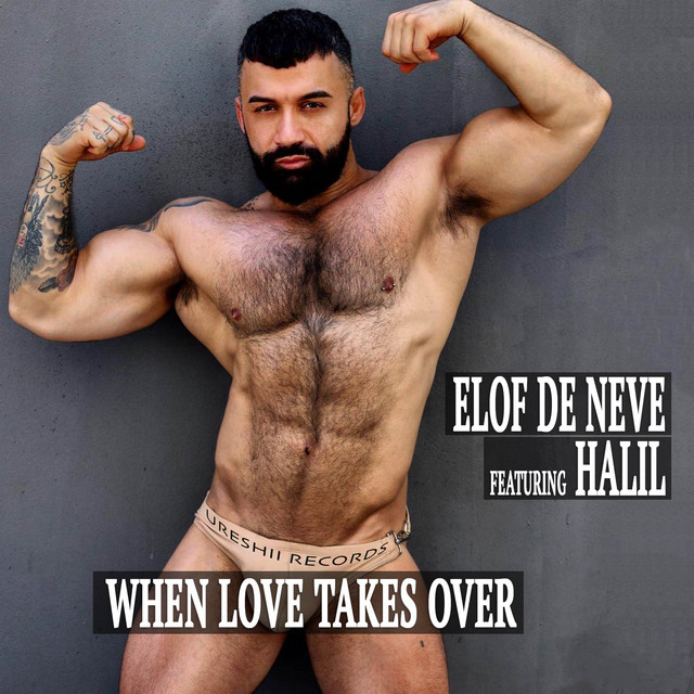 When Love Takes Over cover art