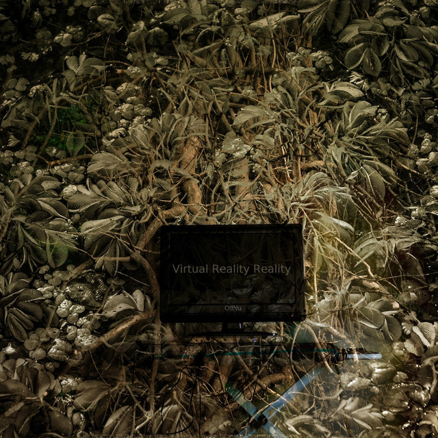 Virtual Reality Reality cover art