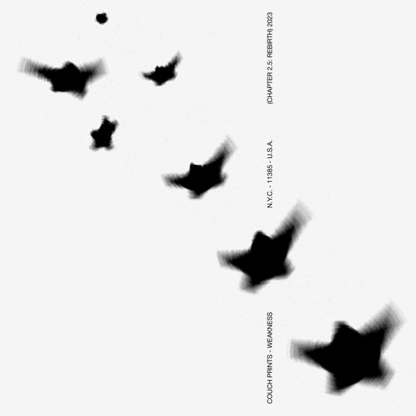 Weakness cover art