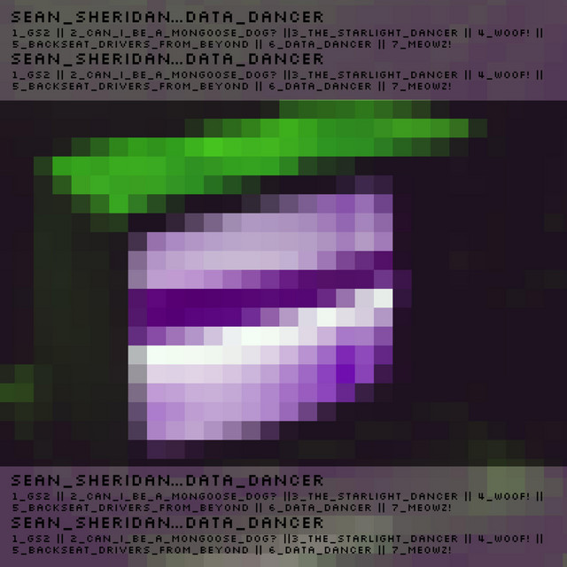 Data Dancer cover art