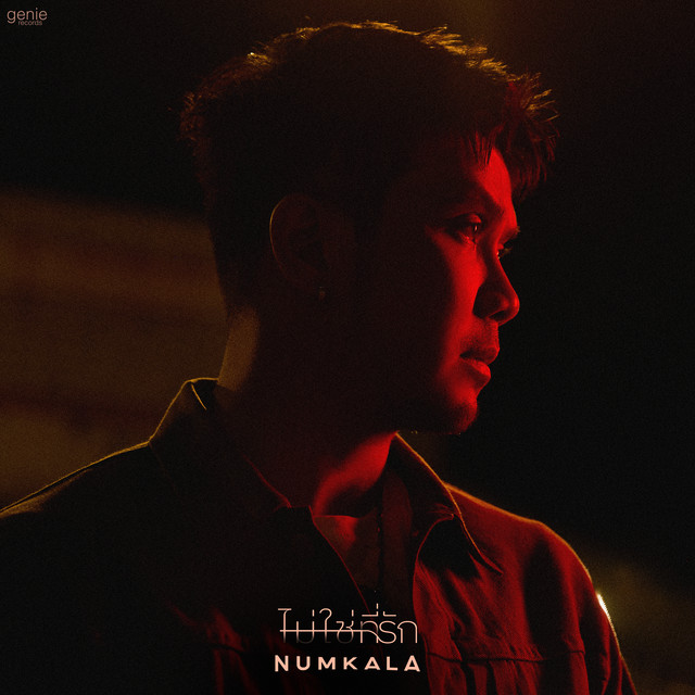 ไม่ใช่ที่รัก cover art