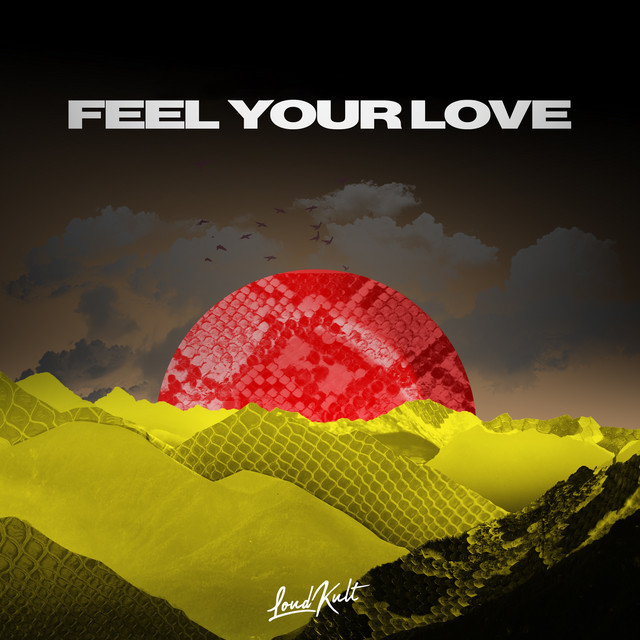 Feel Your Love