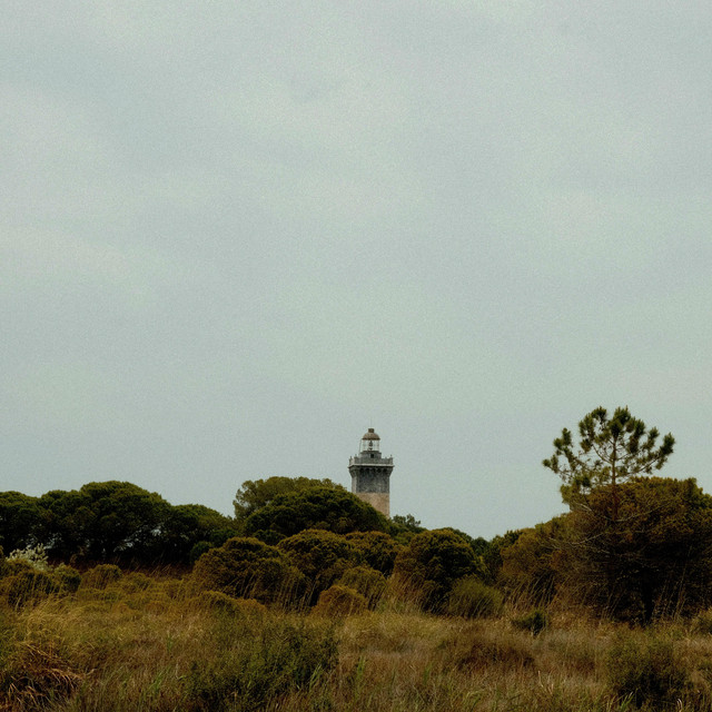 Numa album image
