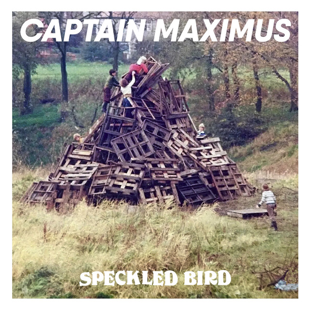 Captain Maximus cover art