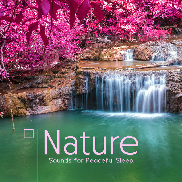 Nature Sounds for Peaceful Sleep - Album by Deep Sleep Universe | Spotify