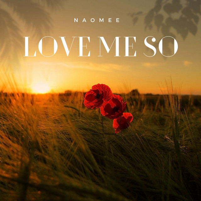 Love Me So cover
