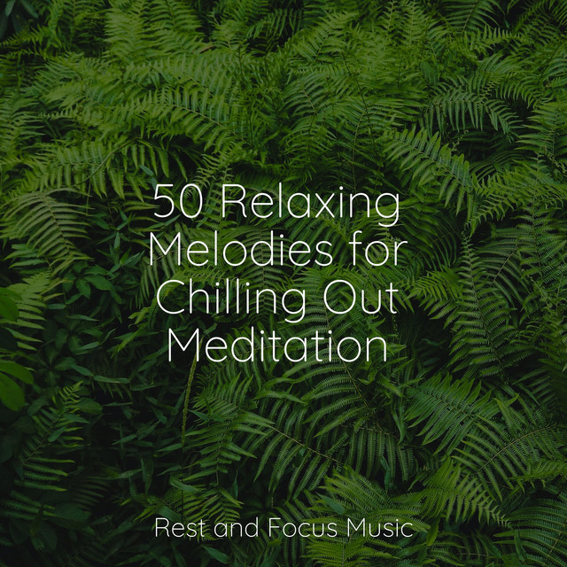 50 Relaxing Melodies for Chilling Out Meditation - Album by Spa ...