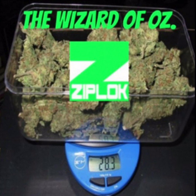 The Wizard Of Oz. cover art