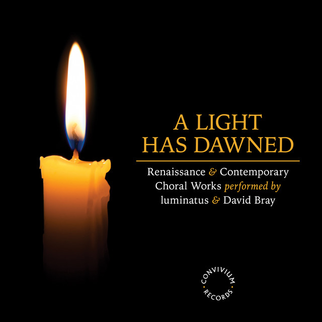 A Light Has Dawned cover art