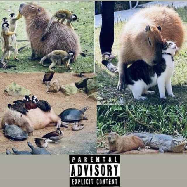 Capybara - Single by .yauQ | Spotify