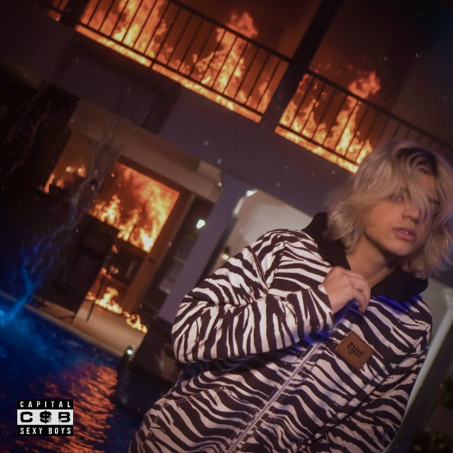 Vai Dançar Sozinha cover art
