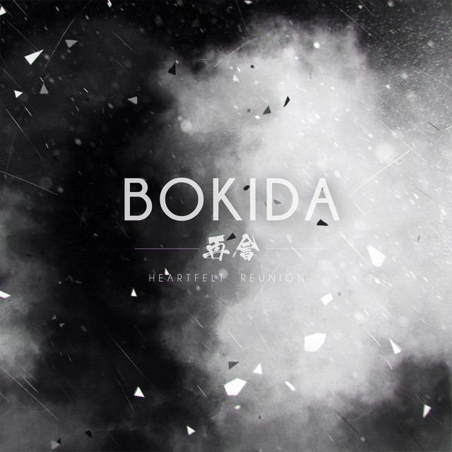 Bokida: Heartfelt Reunion (Soundtrack) cover art