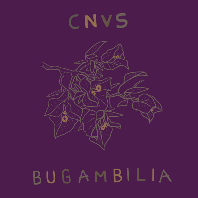 Bugambilia cover