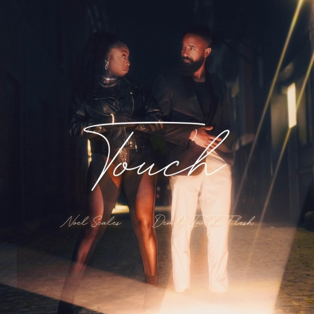 Touch cover