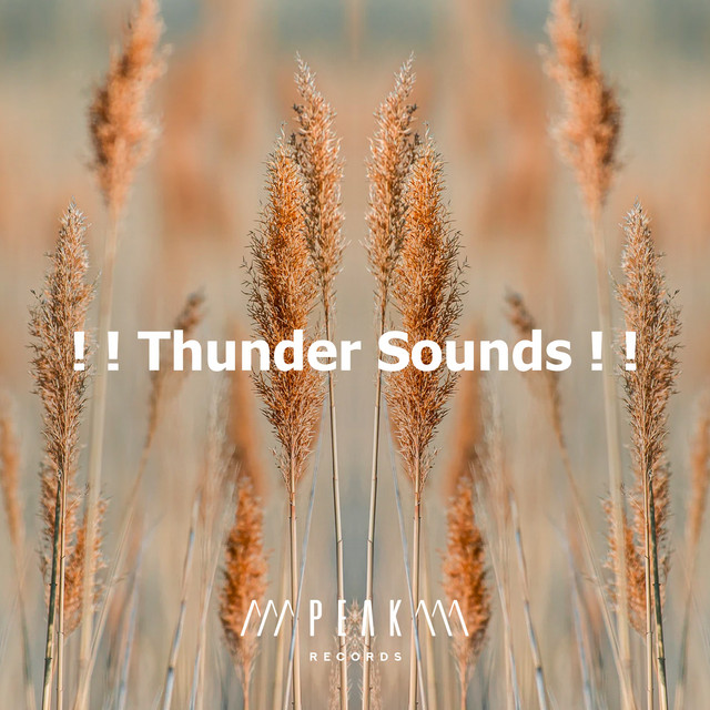Thunder Sounds ! ! - Album by Pro Sound Effects Library | Spotify