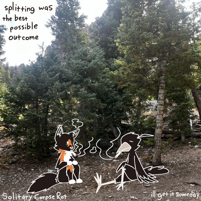splitting was the best possible outcome by ill get it someday