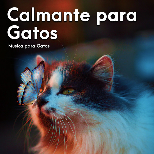 Calmante para Gatos cover art