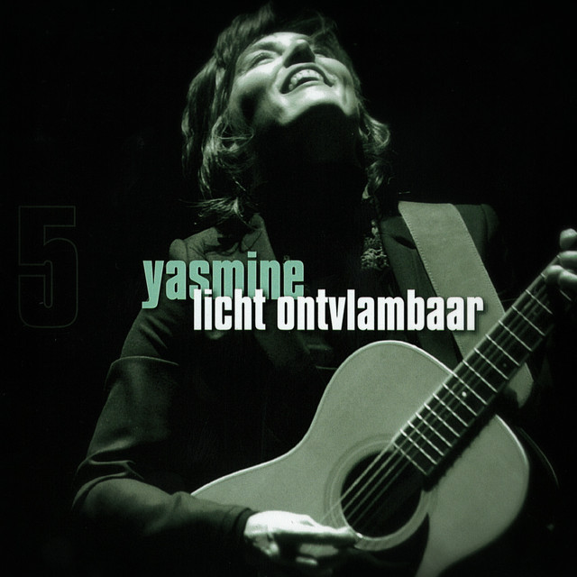 Licht Ontvlambaar cover art