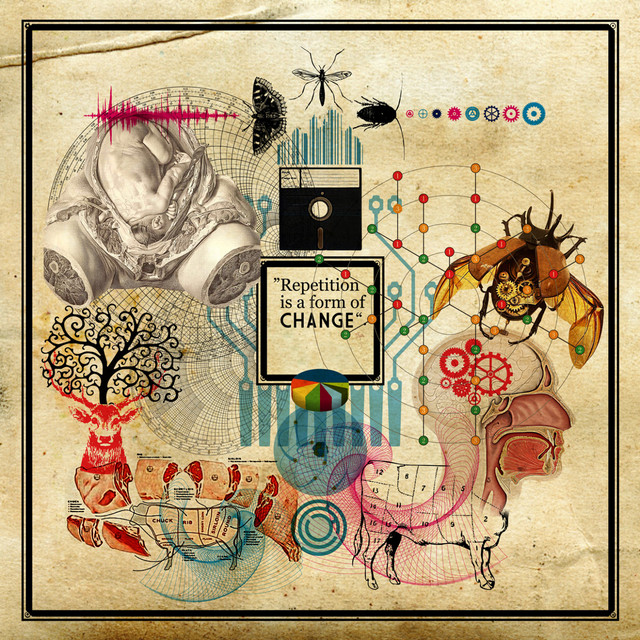 The Captain - Original Mix cover art