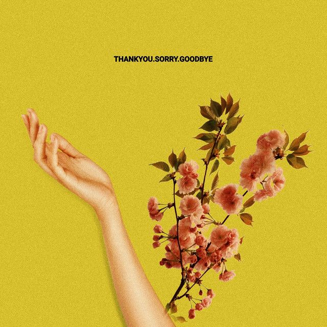 Thank You Sorry Goodbye cover art