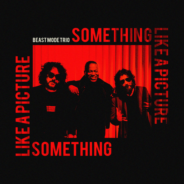 Something Like A Picture cover art