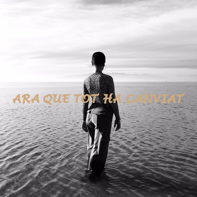 Ara que tot ha canviat (Maquetes i veus) cover art
