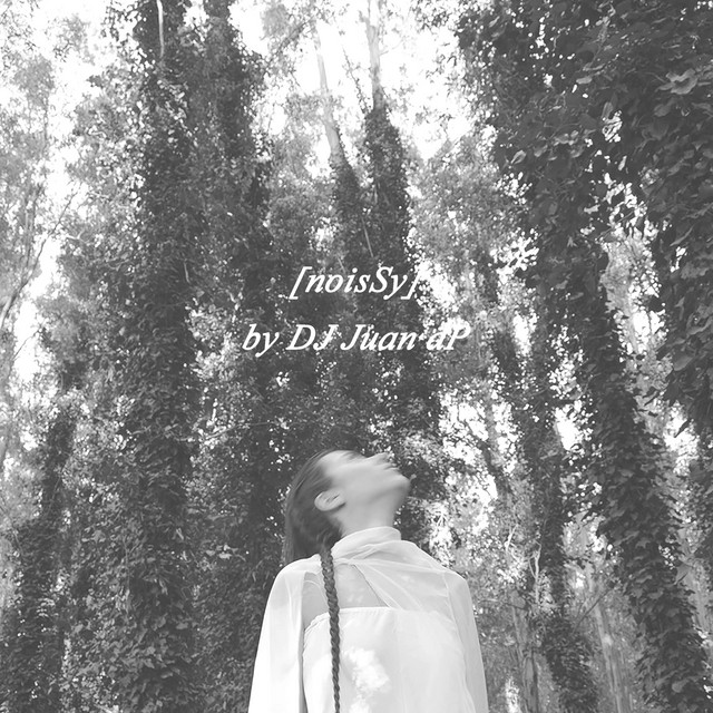 [noisSy]