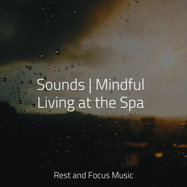 Meditação Maestro