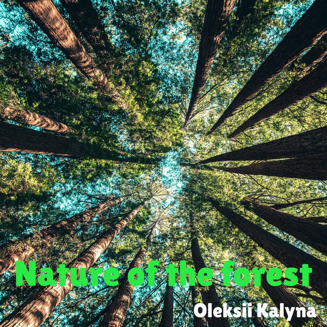 Обкладинка Oleksii Kalyna — Nature of the forest