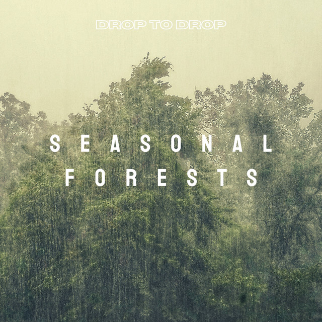 Seasonal Forests cover art