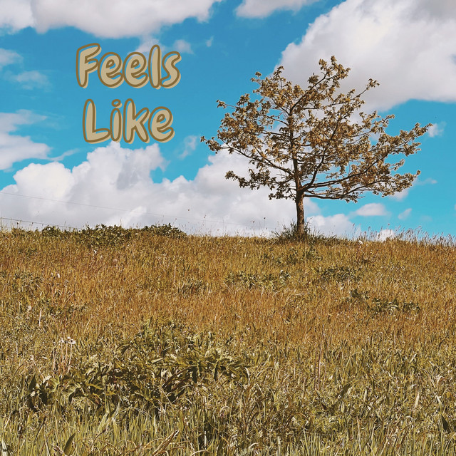 Feels Like cover