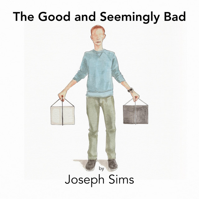 The Good and Seemingly Bad cover art