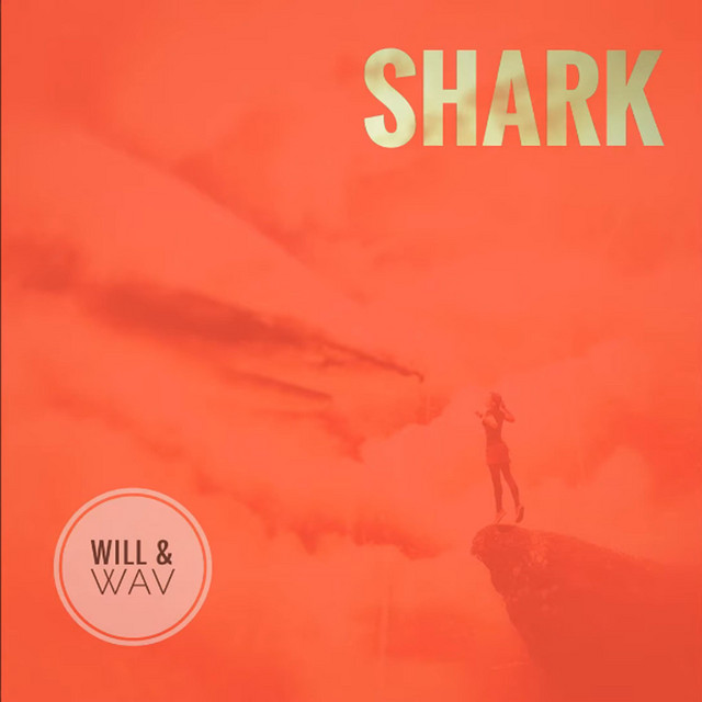 Shark cover