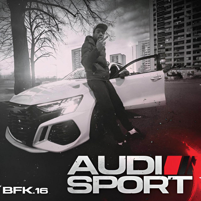 Audi Sport cover art
