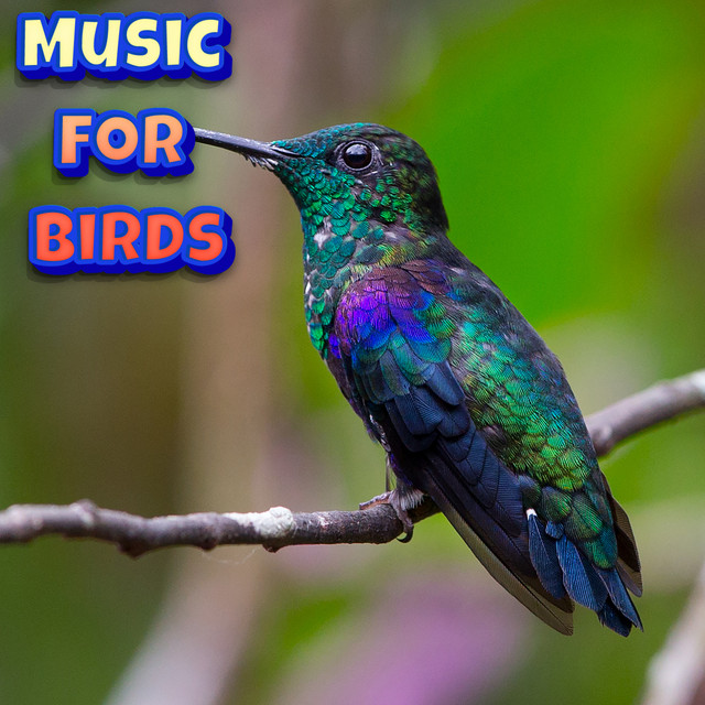 Anxiety Lullaby For Birds cover art