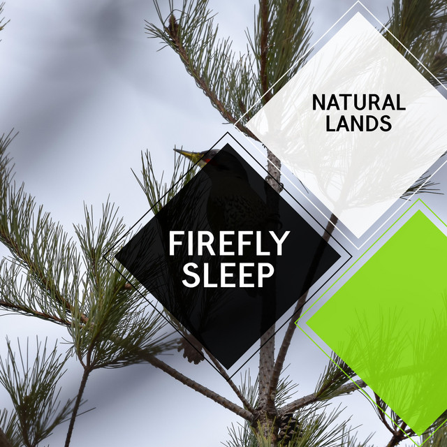 Enjoy a Retreat into Nature with Wetland Frogs cover art