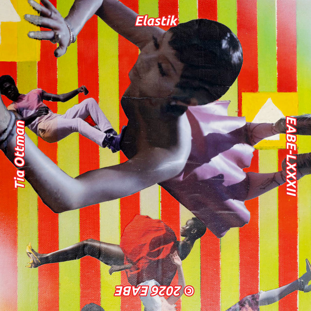 Elastik - Type-303 remix cover art
