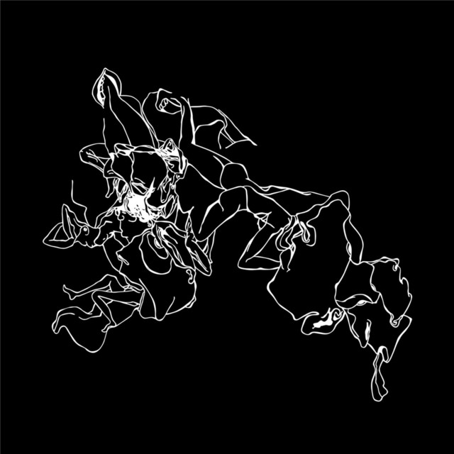 Savants cover art