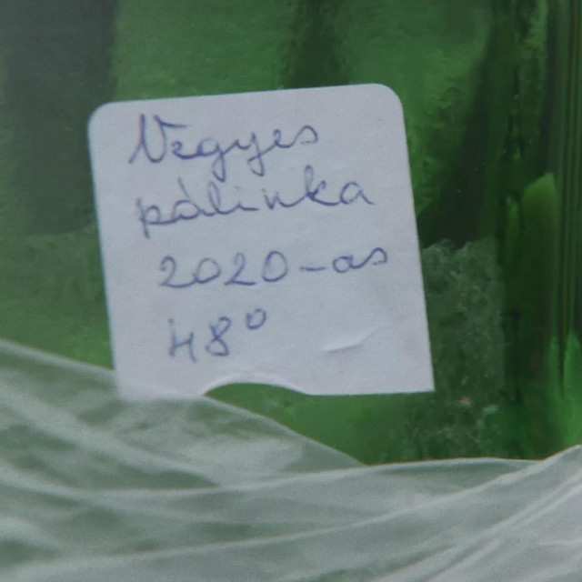 Noszferátó