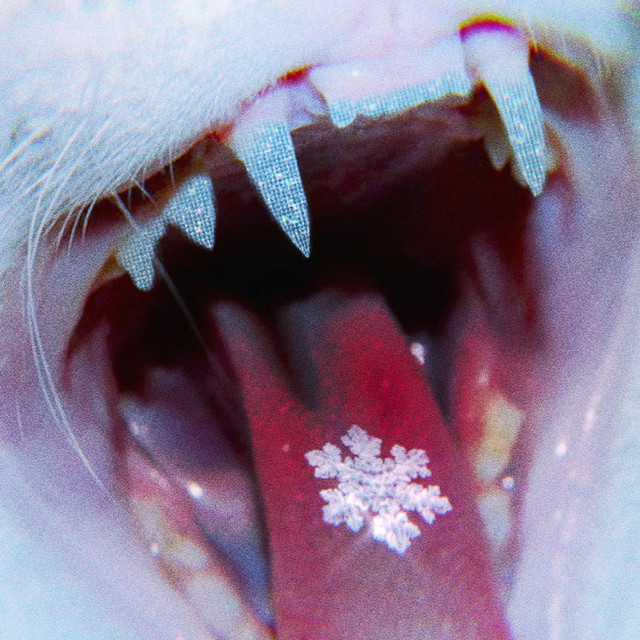 ice cover art