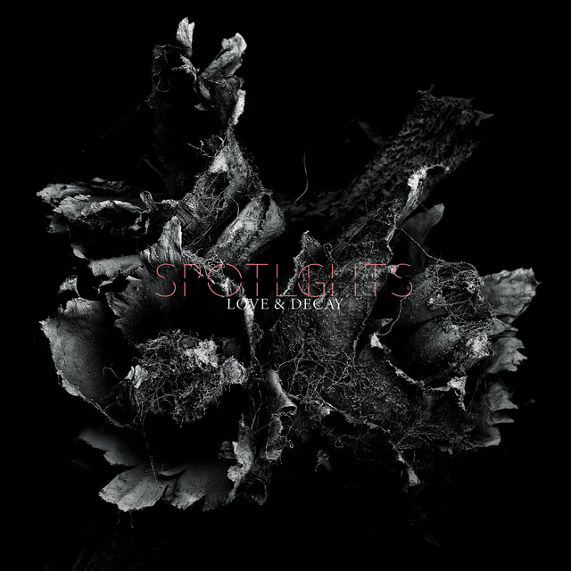 Love & Decay cover