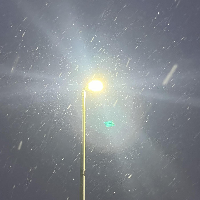 Paralyzed(strangers)