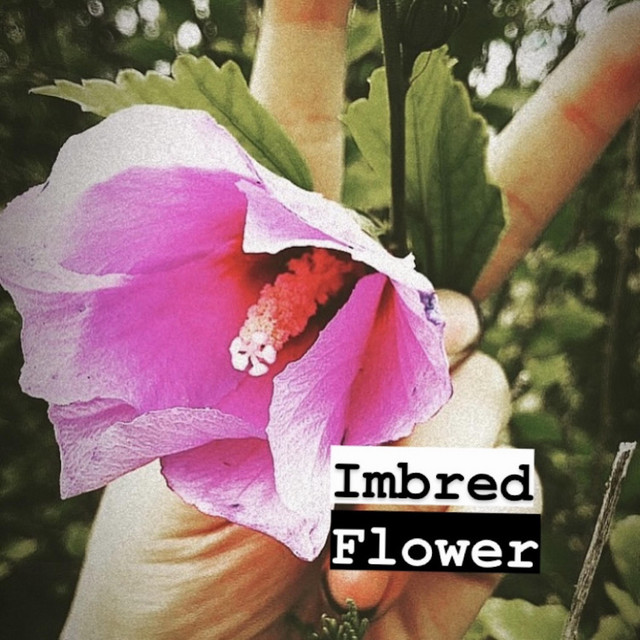 Flower cover art